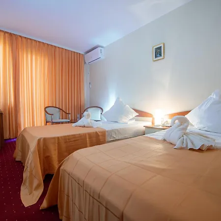 Hotel Doina 3*